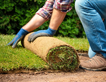 Installation of New Lawns